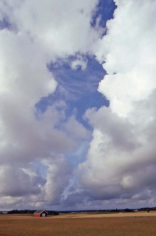 WT 3300 370-28 Norway.jpg